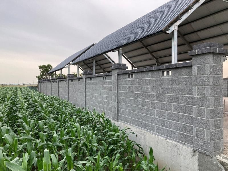 百歲磚是什麼？特色亮點與適合使用的空間解析