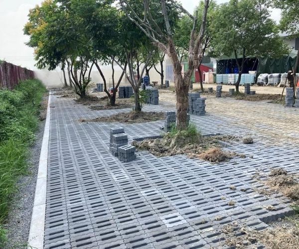 為什麼要用透水鋪面地磚？排水、抑制雜草與環境美化一次看懂